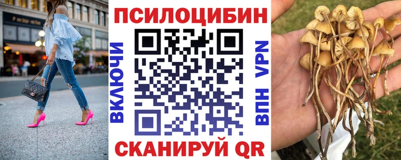 Псилоцибиновые грибы мицелий  mega ССЫЛКА  Большой Камень 